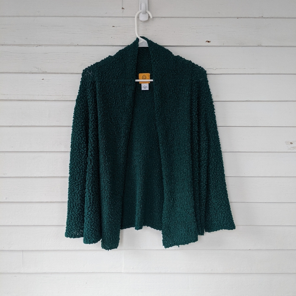Ruby Rd. Emerald green sweater